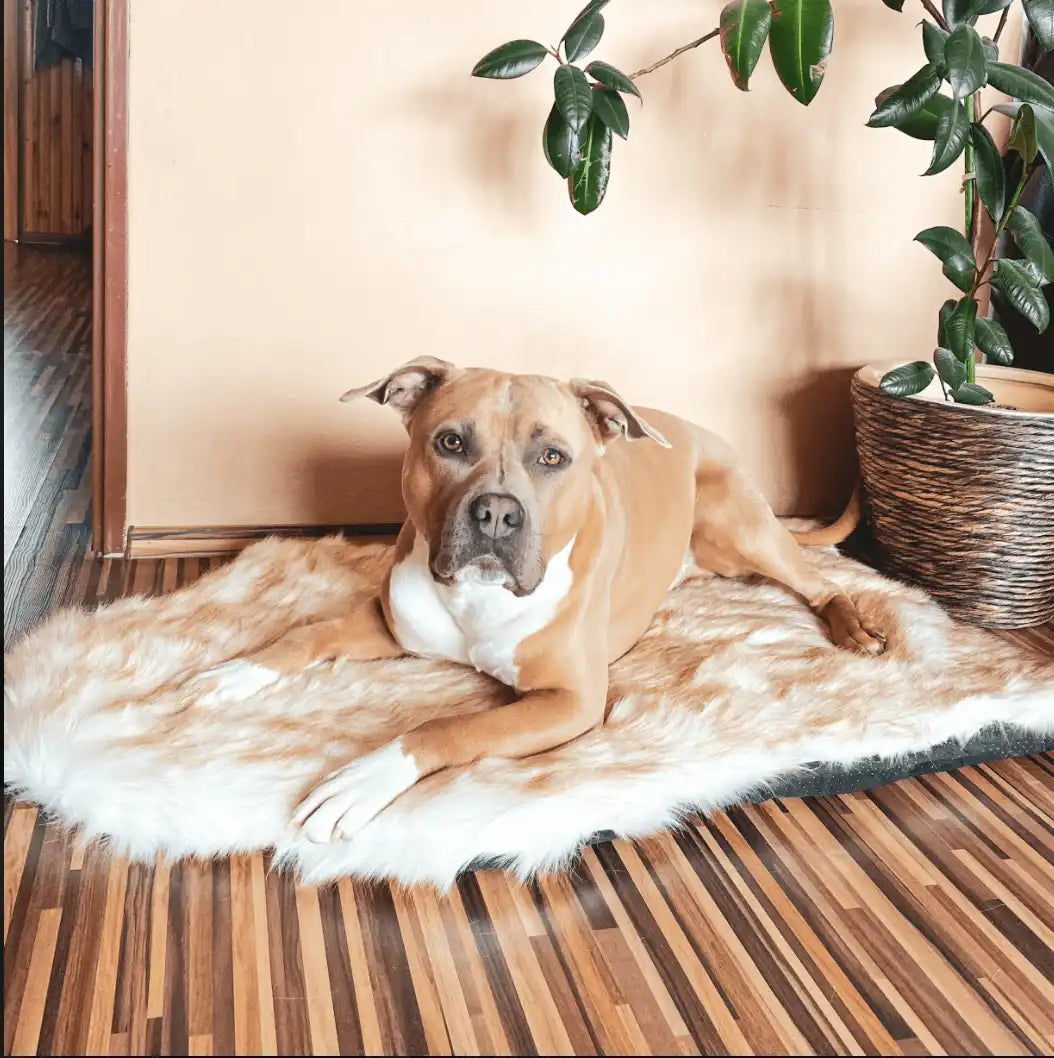 Faux Fur Memory Foam Rug Dog Bed