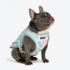 Dog Cooling Vest - Popsicles (2)