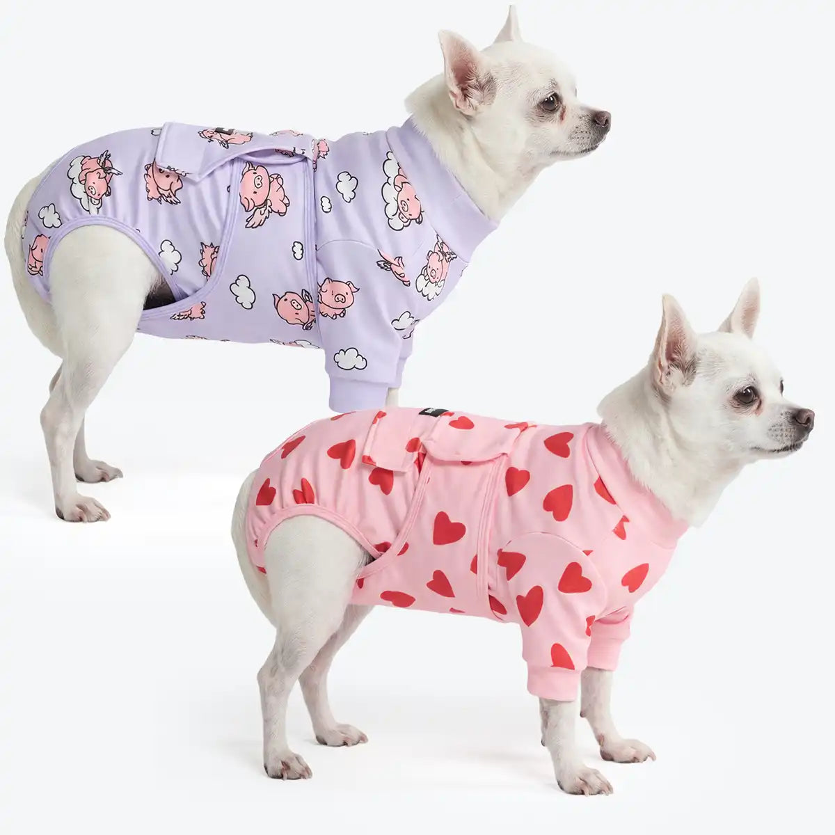 Dog Surgical Suit (2-pack) - Pink Hearts and When Pigs Fly