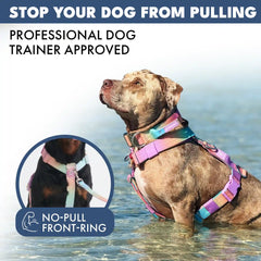 Comfort Control No-Pull Dog Harness Set - Pastel Icing
