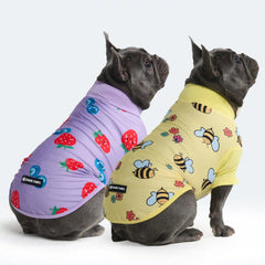 Sunblock Dog T-Shirt (2-pack) - Bees Berries