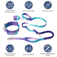 Comfort Control Collar and Multipurpose Leash Set - 90s Retro