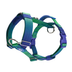 Comfort Control No-Pull Dog Harness - Lime Wave