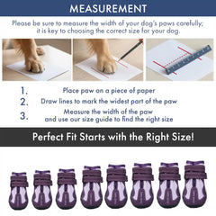 365 All-Season Dog Shoe 4PC Set - Purple