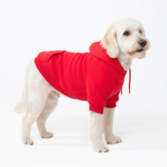 Essential Dog Hoodie - Crimson Red