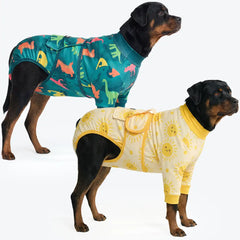 Dog Surgical Suit  (2-pack) - Dinosaurs and Sunshine