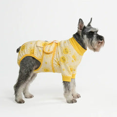 Dog Surgical Suit - Sunshine