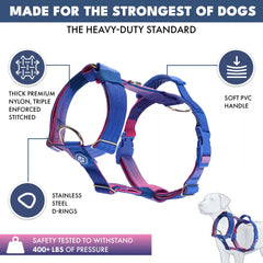 Comfort Control No-Pull Dog Harness Set - Snow Cone