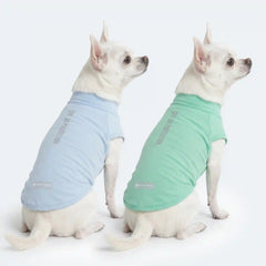 Sunblock Dog T-Shirt (2-pack) - Blue Mint