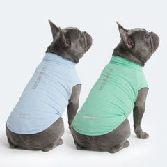 Sunblock Dog T-Shirt (2-pack) - Blue Mint