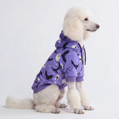 Halloween Dog Hoodie - Purple