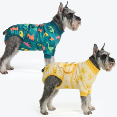 Dog Surgical Suit  (2-pack) - Dinosaurs and Sunshine