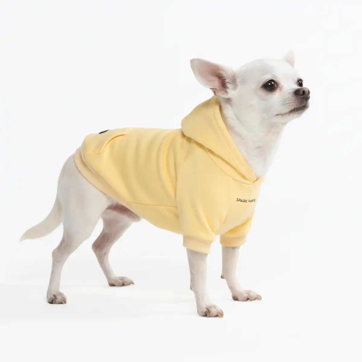 Essential Dog Hoodie - Buttercream