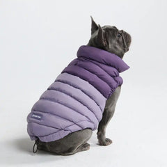 PuffShield Winter Jacket -  Purple