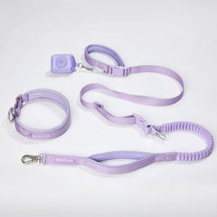 Martingale Collar and Multipurpose Leash Set - Lilac