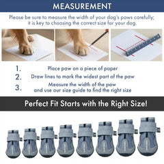 365 All-Season Dog Shoe 4PC Set