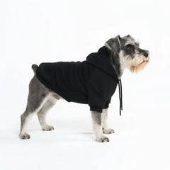 Essential Dog Hoodie - Black