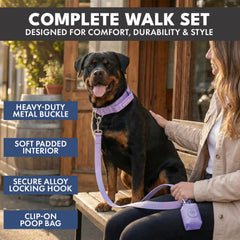 Comfort Control Collar Set - Lilac