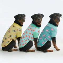 Sunblock T-Shirt 3 Pack