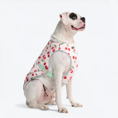 Dog Cooling Vest - Cherries