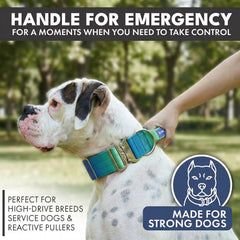 Comfort Control Collar and Multipurpose Leash Set - Lime Wave