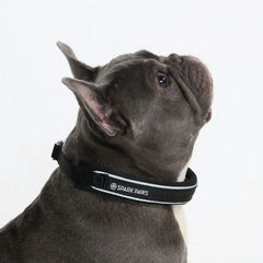 Cushioned Martingale Collar - Black