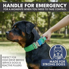 Comfort Control Collar - Lime Wave