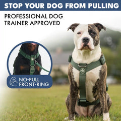 Comfort Control No-Pull Dog Harness Set - Army Green