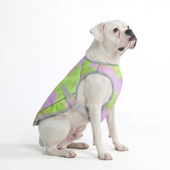 Dog Cooling Vest - Neon Purple