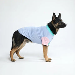 Sunblock Dog T-Shirt - Sorbet