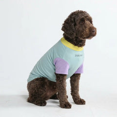 Sunblock Dog T-Shirt - Breeze