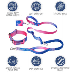 Comfort Control Collar and Multipurpose Leash Set - Snow Cone