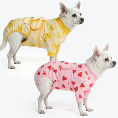 Dog Surgical Suit  2-pack
