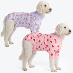 Dog Surgical Suit (2-pack) - Pink Hearts and When Pigs Fly