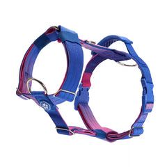 Comfort Control No-Pull Dog Harness - Snow Cone