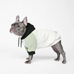 Olive Cream Dog Hoodie