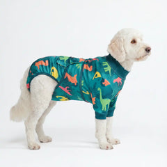 Dog Surgical Suit - Dinosaurs