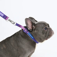 Cushioned Martingale Collars