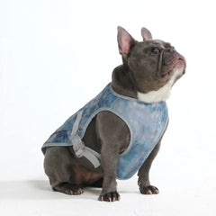 Dog Cooling Vest - Ice Blue