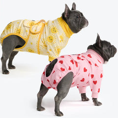 Dog Surgical Suit  2-pack