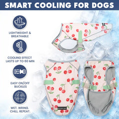 Dog Cooling Vest (2-pack) - Cherries & Watermelon